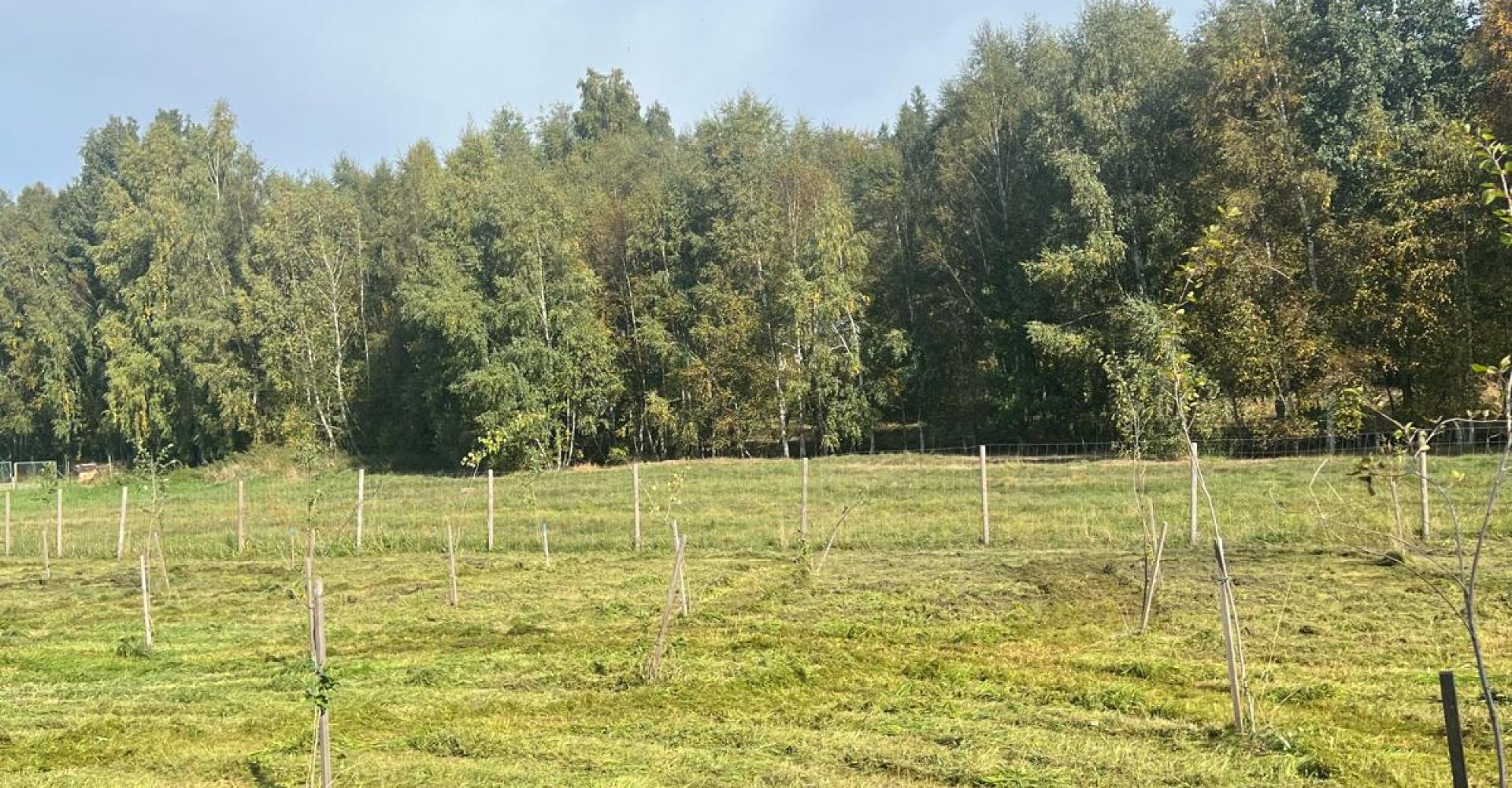 seceni-travy-2