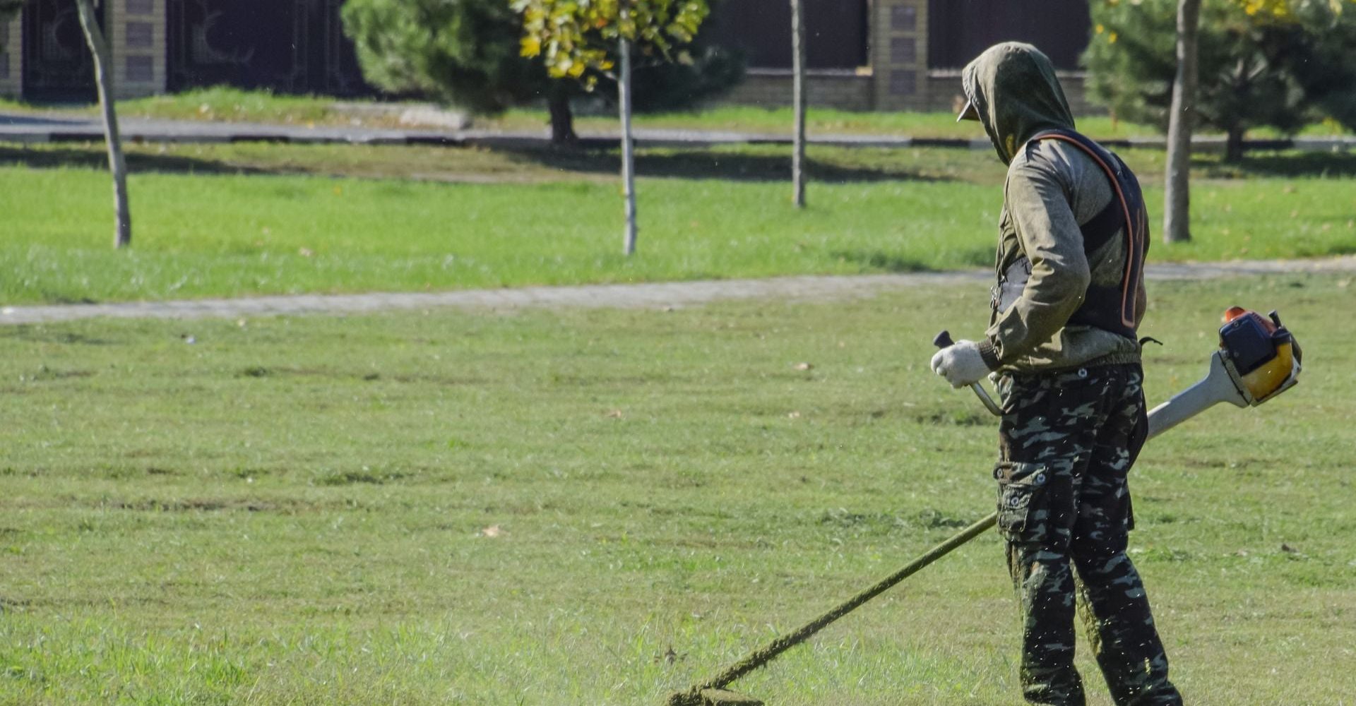 seceni-travy-pro-vsechny-5